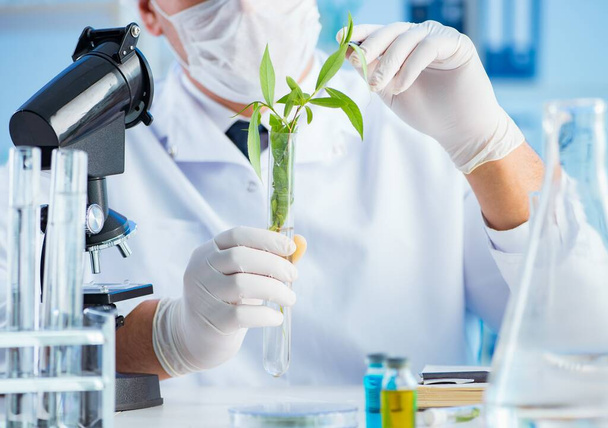Концепция биотехнологии с учёным в лаборатории - Фото, изображение