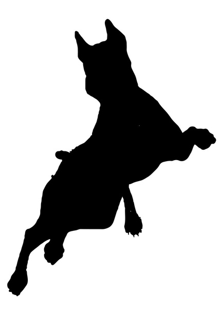 pes silueta vektor - Vektor, obrázek