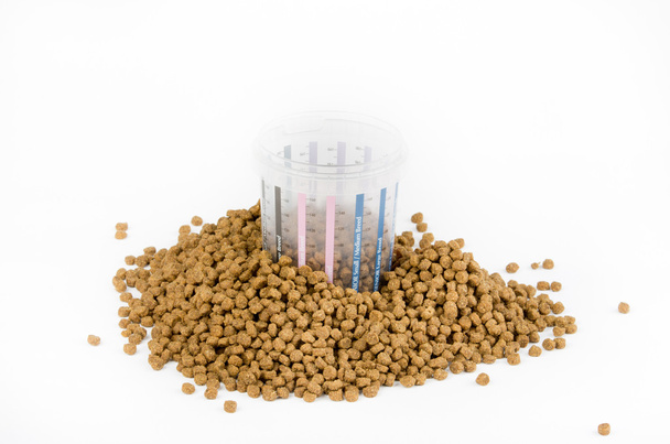 Измеренная доза корма для собаки
 - Фото, изображение