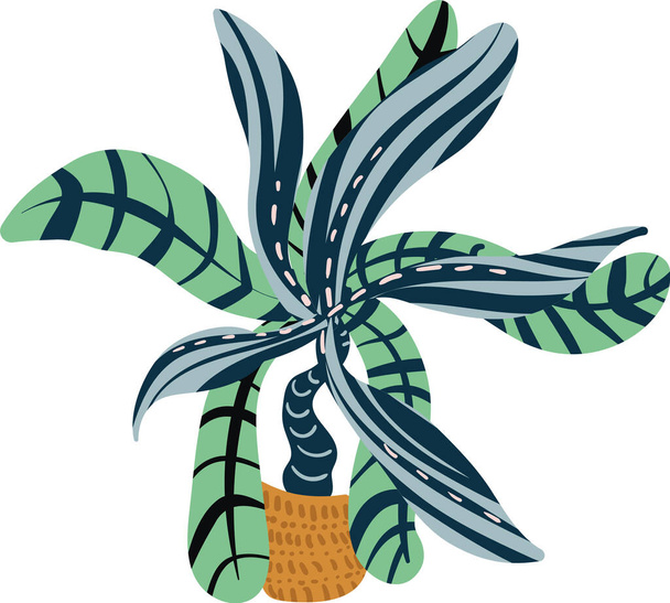 vaso tropicale casa pianta vettore illustrazione - Vettoriali, immagini