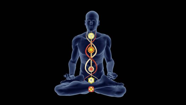 Sylwetka w oświeconej pozycji do medytacji jogi z hinduskimi czakrami na spiralach zwijających się wzdłuż rdzenia. - Zdjęcie, obraz