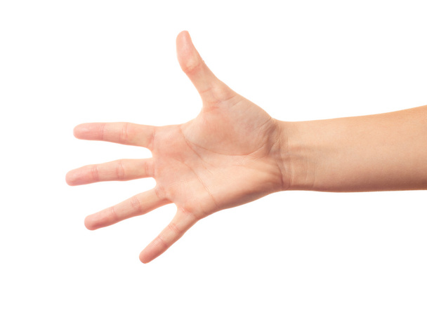 Human hand five fingers - Foto, afbeelding