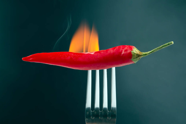 κόκκινες καυτερές πιπεριές σε πιρούνι σε αληθινή φωτιά. φυτική βιταμίνη foo - Φωτογραφία, εικόνα