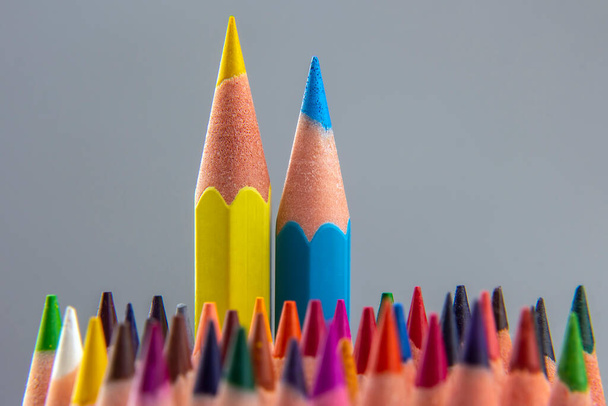 jogo de lápis de cor em um fundo cinza. ferramentas de desenho. paleta em criatividade - Foto, Imagem