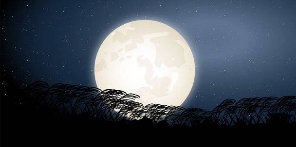 On beş gece Ay 'ı izlemek Dolunay arka planı - Vektör, Görsel