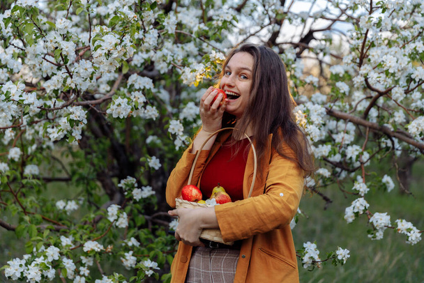 A girl stands in a blooming garden. The girl is holding a basket of apples. - Foto, Imagem