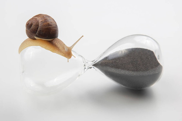 the snail crawls on the hourglass. time and stability. the transience of time and slowness in choosing success. the cyclical nature of life - Photo, Image
