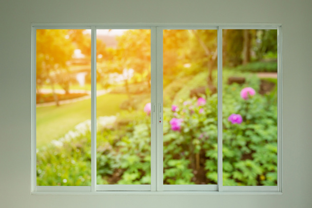 Вид на зеленый сад из окна - Фото, изображение