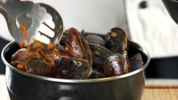 cooked mussels close up steamed clams in white wine - Footage, Video