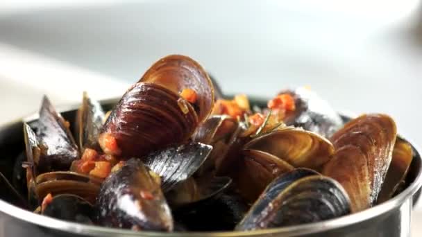 cooked mussels macro clams with vegetables and rosemary - Footage, Video