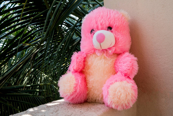 un colpo ravvicinato di orsacchiotto rosa peluche isolato su parete sfondo natura - Foto, immagini