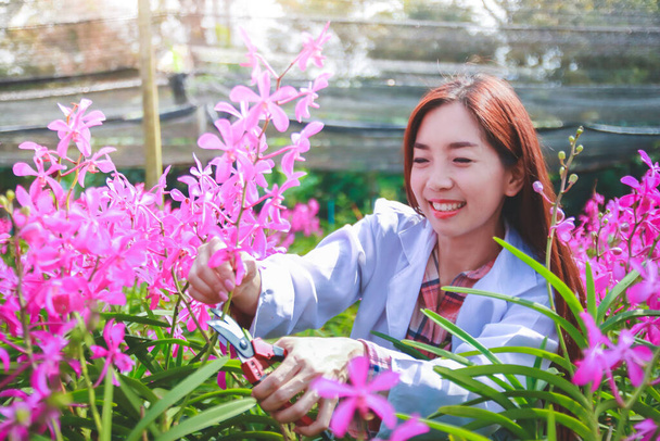 Frauen in weißen Hemden: Forscher schneiden Blumen mit der Schere, um Sorten zu studieren und zu entwickeln. - Foto, Bild