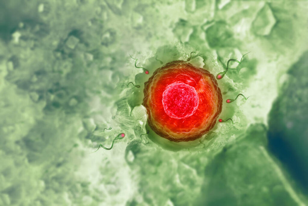 Sperma a vajíčka na vědeckém pozadí. 3D ilustrace - Fotografie, Obrázek