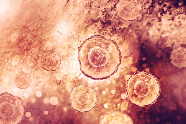 Яичная клетка человека на научном фоне. 3d иллюстрация - Фото, изображение
