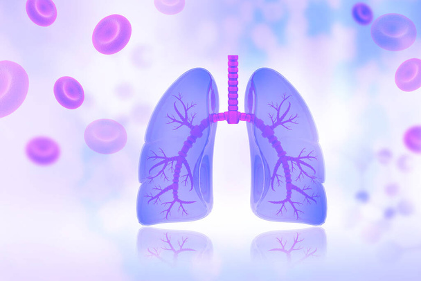 Людські легені на науковій основі. 3d ілюстрація
 - Фото, зображення
