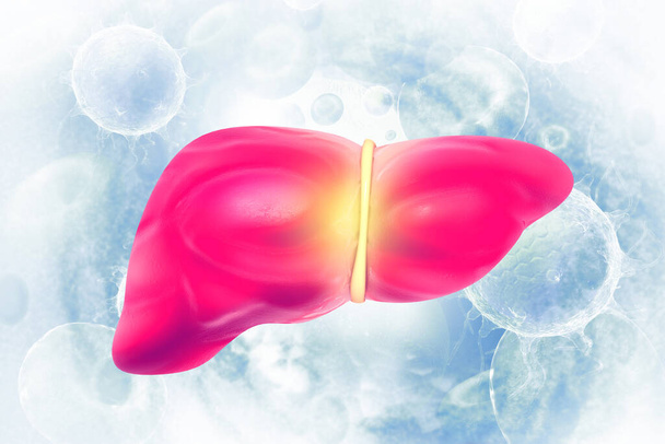 Human liver.3d illustration - Photo, Image