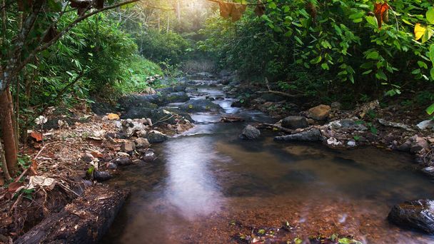 Klares Wasser Strom oder Wasserfall mit Baum und Stein oder Stein in grünen Dschungel oder Wald für den Sommerurlaub entspannen und Reise Urlaub im Ban Krang Camp im Kaeng Krachan Nationalpark Thailand - Foto, Bild