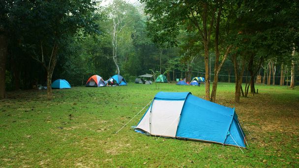 φύση τοπίο μπλε σκηνή κάμπινγκ με δέντρο στο πράσινο λιβάδι γρασίδι στη ζούγκλα ή το δάσος για πεζοπορία πικνίκ στις διακοπές χαλαρώστε και ταξίδια διακοπών το φθινόπωρο το χειμώνα ή το καλοκαίρι με ομίχλη στο Ban Krang Camp - Φωτογραφία, εικόνα