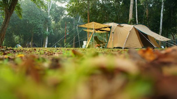 Natur Landschaft Zeltlager mit Baum auf grünen Graswiesen im Dschungel oder Wald für Trekking Picknick im Urlaub entspannen und Urlaubsreisen im Herbst Winter oder Sommer mit Nebel im Ban Krang Camp - Foto, Bild