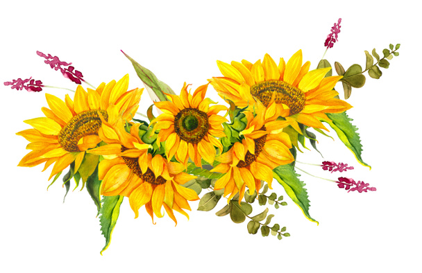 A bouquet of yellow sunflowers tied with a blue ribbon, watercolor on a white background. Sunlight, sun flower. For the design of stationery, textiles, clothing, pillows, stickers. - Φωτογραφία, εικόνα