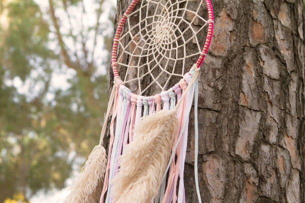 Dromenvanger in de natuur opgehangen in een trommelboom.  - Foto, afbeelding