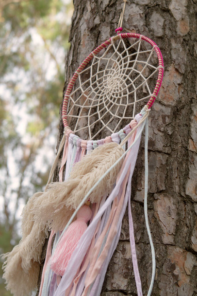 Dreamcatcher in nature suspended in a trunk tree. - Photo, Image