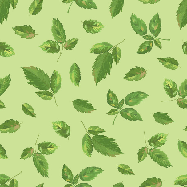 Organic collection. Vector raspberry leaves seamless pattern on a light green background - Διάνυσμα, εικόνα