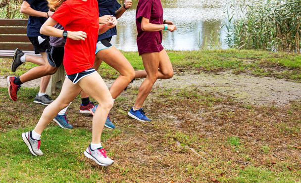 Vista lateral de un grupo de corredores de cross country de secundaria entrenando en un parque en la hierba junto a un lago. - Foto, Imagen