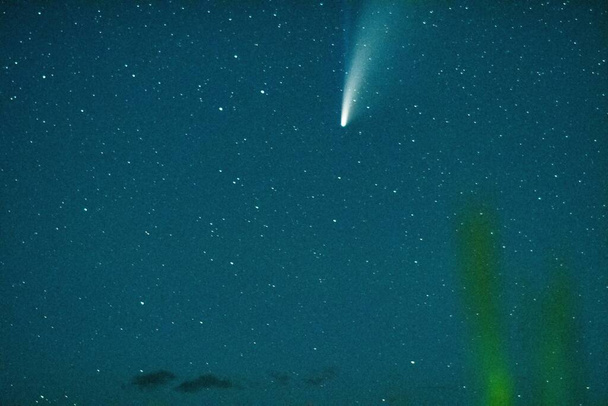 vista do cometa neowise no céu noturno
 - Foto, Imagem