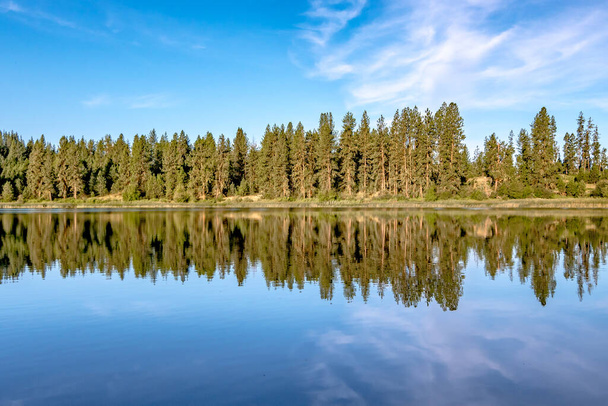 nature reflections at wilderness lake in washington state - Photo, Image