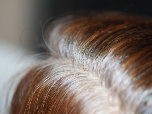 cabelo sentado na cabeça de uma mulher
 - Foto, Imagem