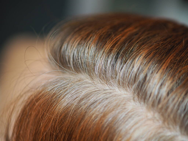 cabelo sentado na cabeça de uma mulher
 - Foto, Imagem
