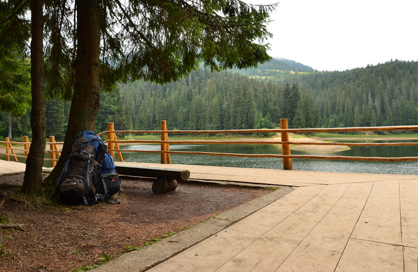 dva batohy poblíž jedle za plotem na jezeře - Fotografie, Obrázek