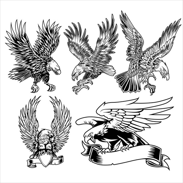Aquila ala volare Hawk nero vettoriale illustrazione - Vettoriali, immagini