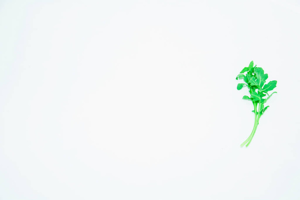 Fresh green arugula leaf on light background - Фото, изображение