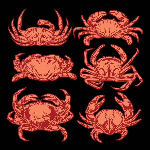 Drawing Vintage Crab Animal Set Seafood illustration vector - Vector, Image