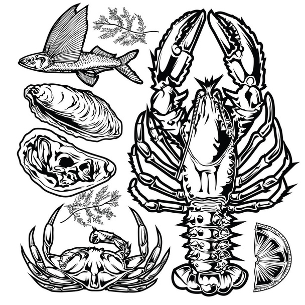 Rajz Vintage Animal Set hal rák kagyló citrom Seafood illusztráció vektor - Vektor, kép