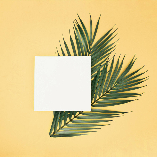 A closeup shot of green palm leaves and a white square with copy space on a yellow background - Foto, imagen