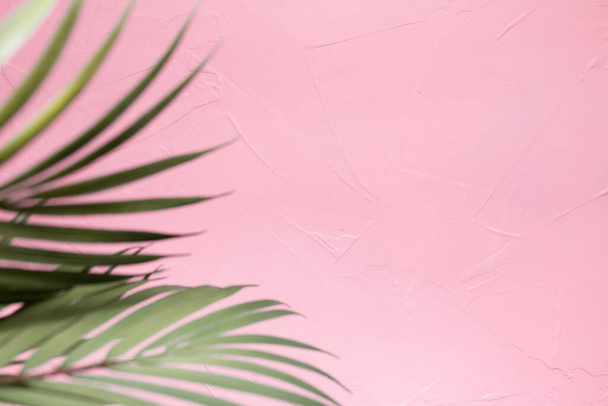 A closeup shot of green palm leaves on a pink background with a copy space - Zdjęcie, obraz