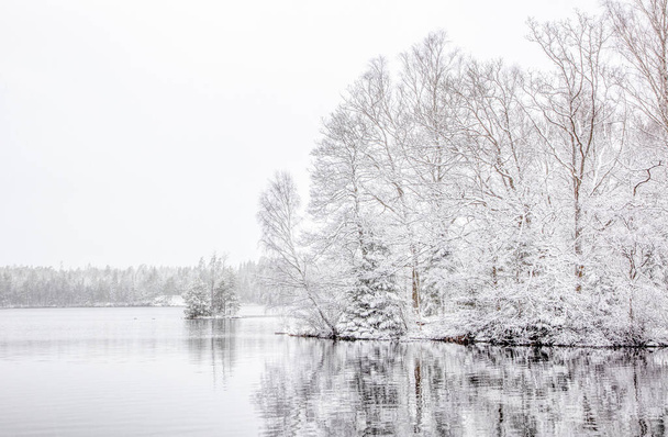 A beautiful shot of frosty trees reflecting in the lake in winter - Fotó, kép