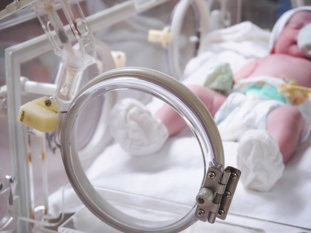 Novorozené dítě dívka uvnitř inkubátoru v nemocnici porodnice - Fotografie, Obrázek