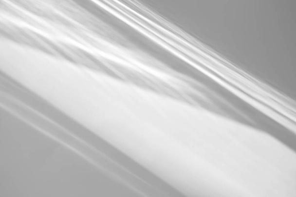 Sombra de baixa orgânica em uma parede branca - Foto, Imagem