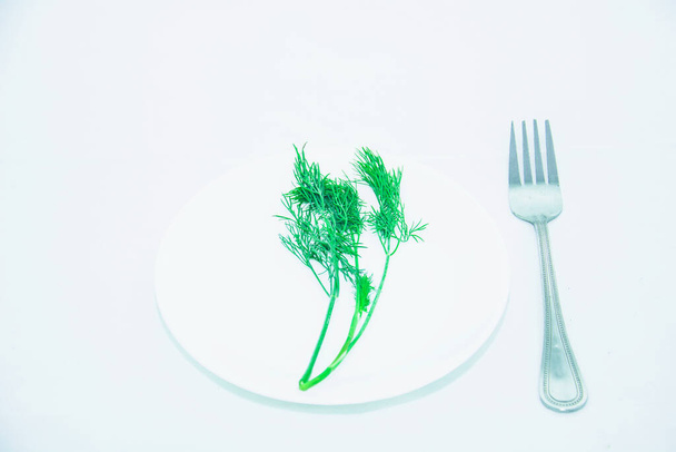 Zweig frischer grüner Dill auf hellem Hintergrund - Foto, Bild