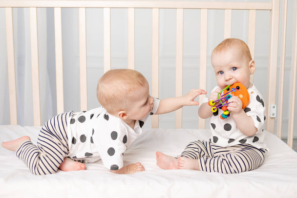 dvě dvojčata ve věku 8 měsíců si hrají v kolébce, raný vývoj dětí do jednoho roku, koncept vztahu dětí bratra a sestry, dítě bere hračku z druhého - Fotografie, Obrázek