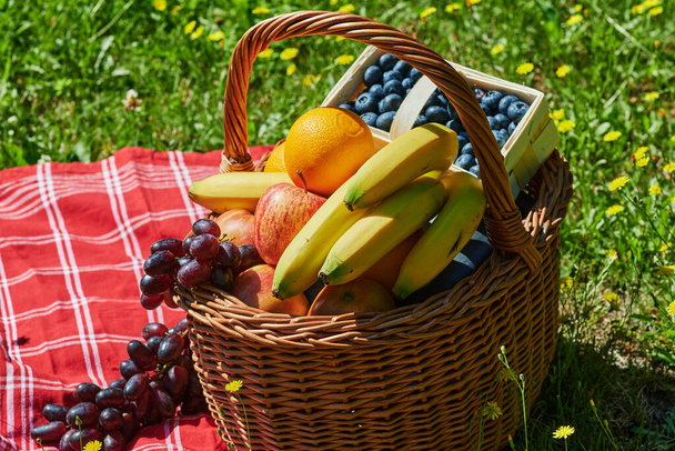 Basket of various fruits in the sunlight on a meadow with yellow flowers. - 写真・画像