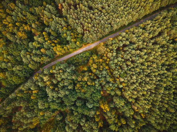 Krzywa Droga w Jesiennym Lesie. Dron powietrzny z góry na dół. - Zdjęcie, obraz