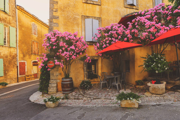 Francia Calle Provenza, casas antiguas con plantas verdes y flores florecientes - Foto, imagen