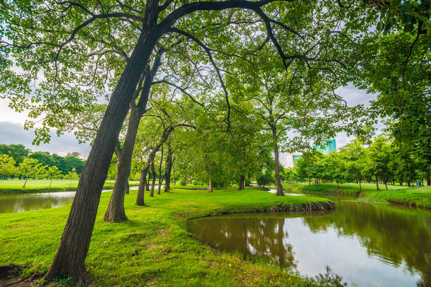 Campo de árboles verdes con estanque en el parque público puesta del sol cielo nube - Foto, Imagen