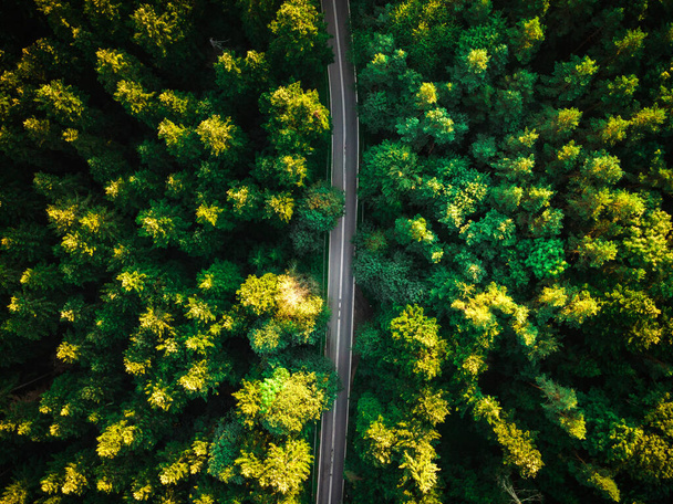Straigh Road or Patch in Woodlands. Aerial Drone View. - Valokuva, kuva