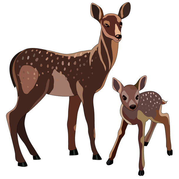 鹿や野生動物を描き白い背景に孤立させ - ベクター画像
